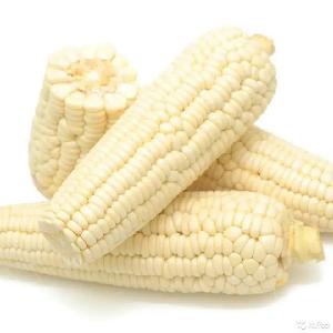 White corn