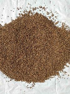 Coriander seeds