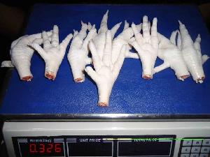 Frozen Grade A+ Chicken Paws