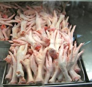 Grade A Frozen Chicken Paws and Feet 35g-45g Grade