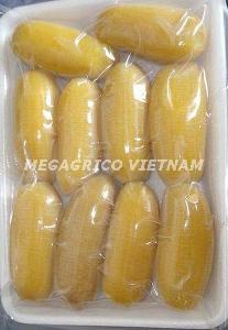Frozen Banana