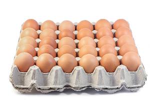 Table Fresh Chicken Eggs (White or Brown) For Sale