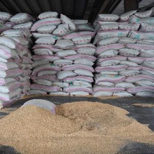 soybean meal