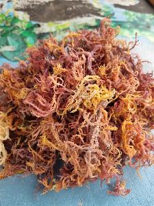 Dried Eucheuma Spinosum Seaweed Indonesian