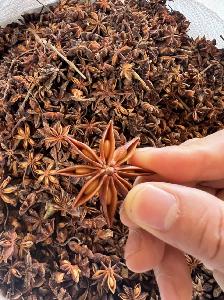 VIETNAM STAR ANISE GOOD PRICE FOR EXPORT