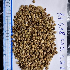 ROBUSTA COFFEE BEANS S18 FAQ 2% BB VIETNAM ORIGIN
