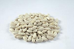Egyptian White Kidney Beans
