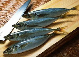 Frozen Horse Mackerel Whole Round
