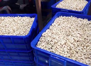 Quality Cashews Nut Supplier Offers Raw Cashew Nuts In Shell