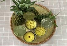 High quality canned pineapple piece / tibdit in syrup w/sapp 84973516838