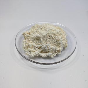 D201 Macroporous Strong Base Anion Exchange Resin for Gold Recovery