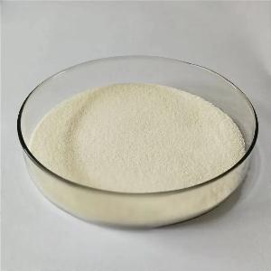Fungal Chitosan