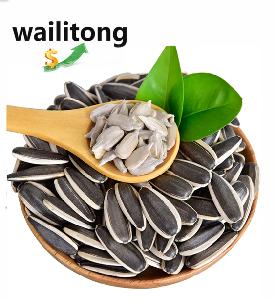 Wailitong  Export  Snacks Fresh Sunflower  Seeds  Kernel