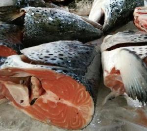 Frozen Atlantic Norwegian Salmon Heads 52.2kg