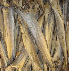 Tusk Dry  Stock   Fish  Cod