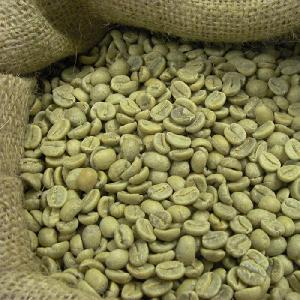 Top Grade Green Arabica Coffee Beans Process High Quality S14 S16 S18
