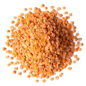 Affordable High quality red lentils red lentils  price  red lentils for sale