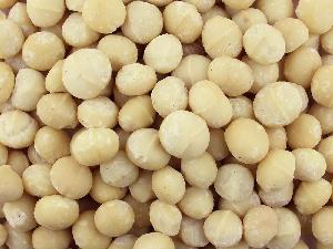 Macadamia  Nuts  For  Sale 