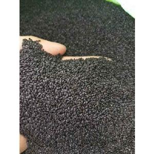  Basil   Seed  For Beverages Competitive Price