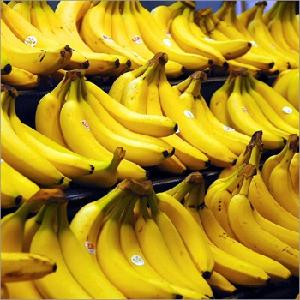 Organic Fresh Bananas