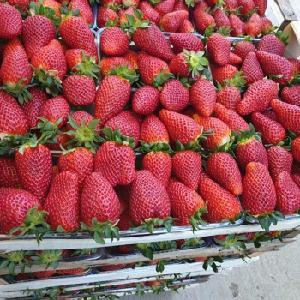 Strawberry Fruit Fresh Strawberries and dried goji berries