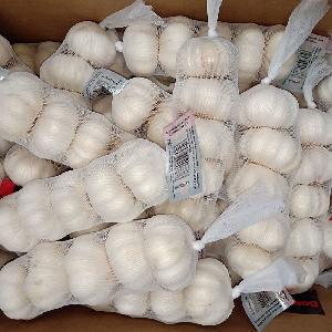 High   quality   garlic  import normal white  garlic 
