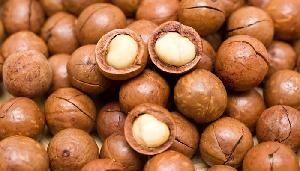 Macadamia - Macadamia Nuts - Raw