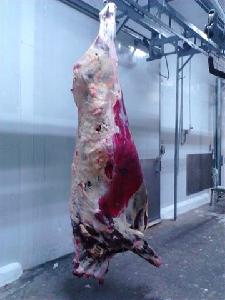 LAMB MEAT