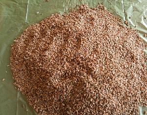 Wheat #5 FOB Black sea