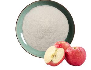 Apple Fruit Juice Apple Powder