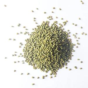 Green Goodness Premium Mung Beans for Sale