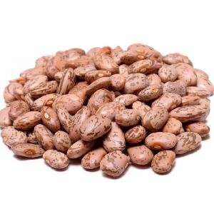 Flavorful Gems High-Quality Pinto Beans for Sale