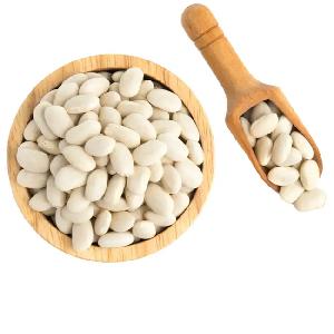 Pure White Beans Premium Quality Legumes for Sale