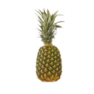 Juicy and Tropical Pineapples for Sale Experience the Sweetness and Refreshing Flavor of Fresh
