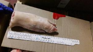 Frozen Pig Front Feet, Pig Hind Feet