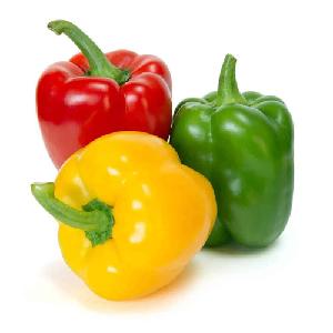 Premium Bell Peppers (Capsicum) for Sale: Experience the Vibrant Colors