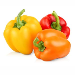 Vibrant Bell Peppers for Sale: Experience the Colorful and Flavorful Goodness of Premium Capsicum