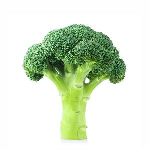 Fresh Broccoli for Sale: Experience the Nutrient-packed Goodness and Versatility