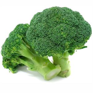  Fresh   Broccoli  for Sale: Enjoy the Nutrient-Packed and Tender Goodness of Premium  Broccoli 