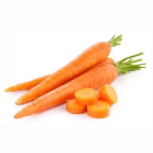 Fresh Carrots for Sale: Savor the Sweetness and Vibrant Color of Premium Carrots