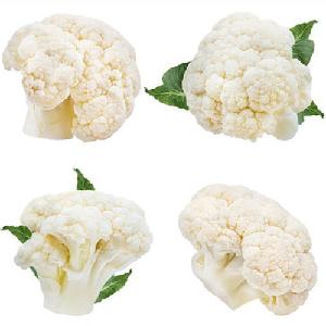 Crisp Cauliflower for Sale: Delight in the Versatile and Nutritious Goodness of Premium Cauliflower