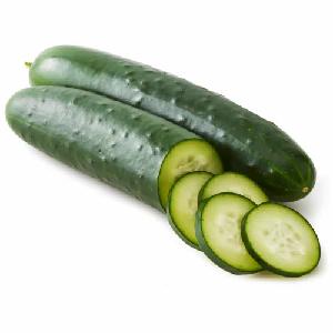 Fresh Cucumbers for Sale: Savor the Crisp and Refreshing Goodness of Premium Cucumbers