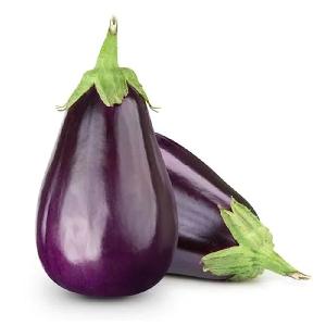 Fresh Eggplant (Aubergine) for Sale Indulge in the Richness and Versatility