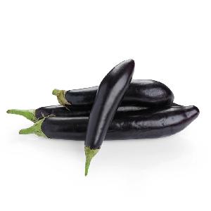 Fresh Eggplant for Sale: Indulge in the Rich and Versatile Goodness of Premium Aubergines
