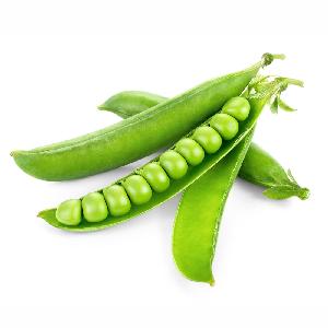 Fresh Peas for Sale: Delight in the Sweetness and Nutritional Goodness of Premium Peas