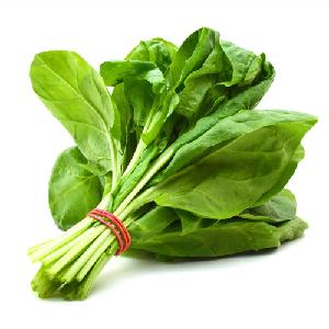 Fresh Spinach for Sale: Experience the Nutrient-Rich Goodness and Versatility of Premium Spinach