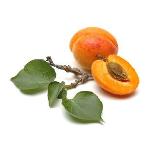 Juicy Apricots for Sale: Delight in the Sweetness and Vibrant Flavor of Nature''s Gems