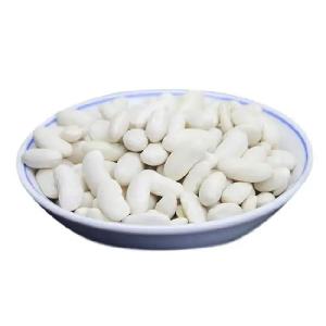 White Beans Premium Quality Legumes for Sale