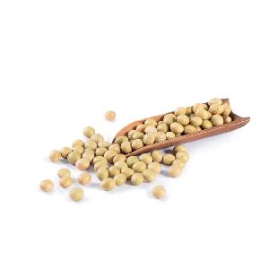 Premium Soybeans for Sale Top quality bulk quantity