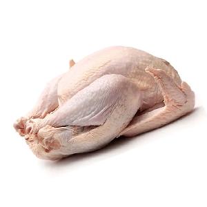 High Quality Frozen Chicken Best Selling Chicken fillets Frozen Whole Chicken For Sale